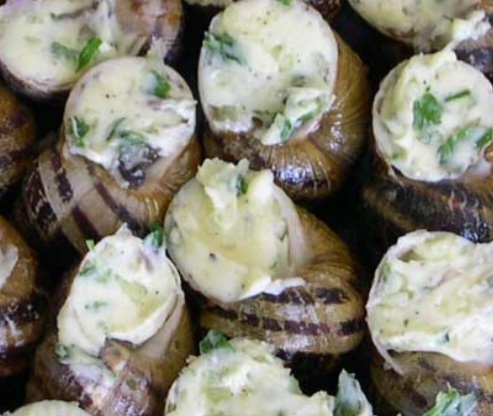 Vente 6 recette fromage de chevre