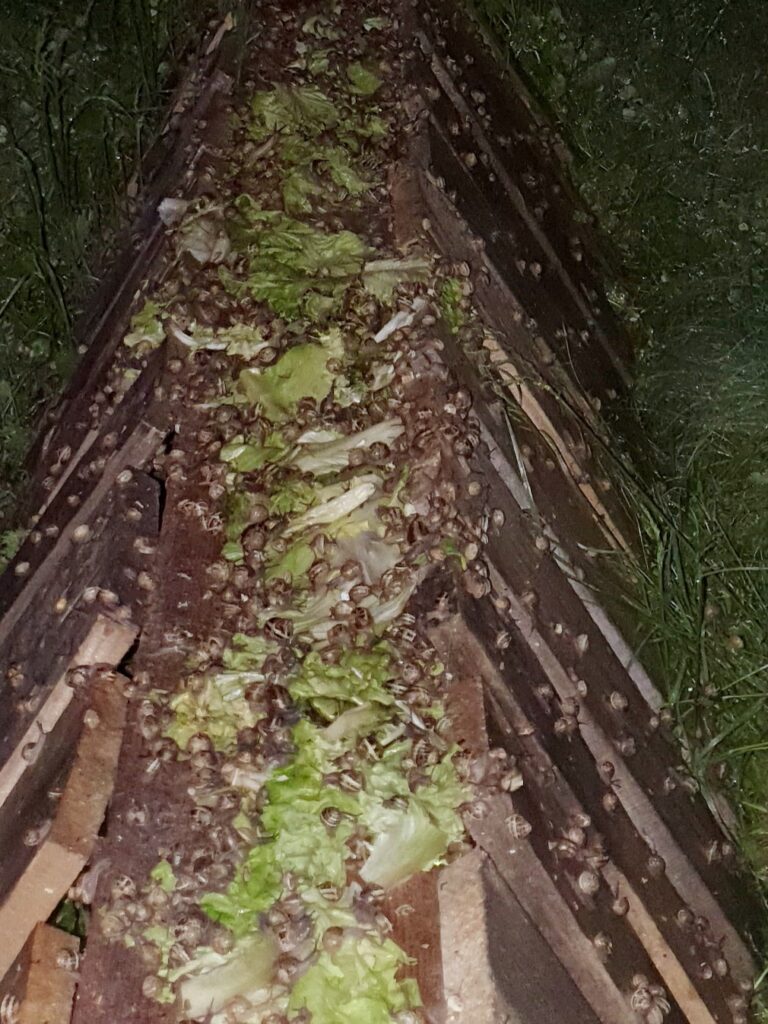 20250428 222441