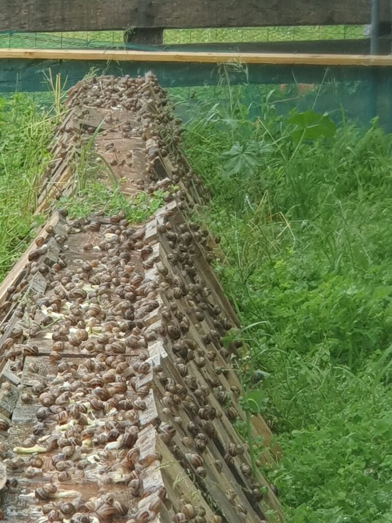 20250519 085312