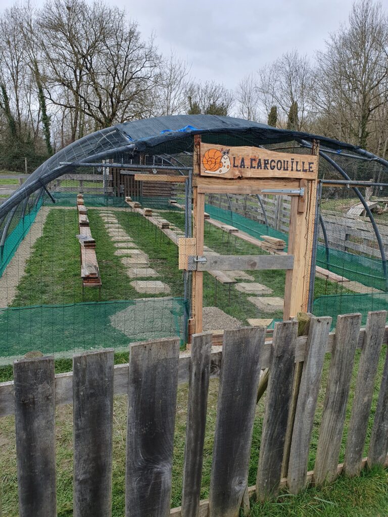 nouvelle serre 2